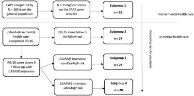 The daily association between positive affect and psychotic experiences in individuals along the early stages of the psychosis continuum